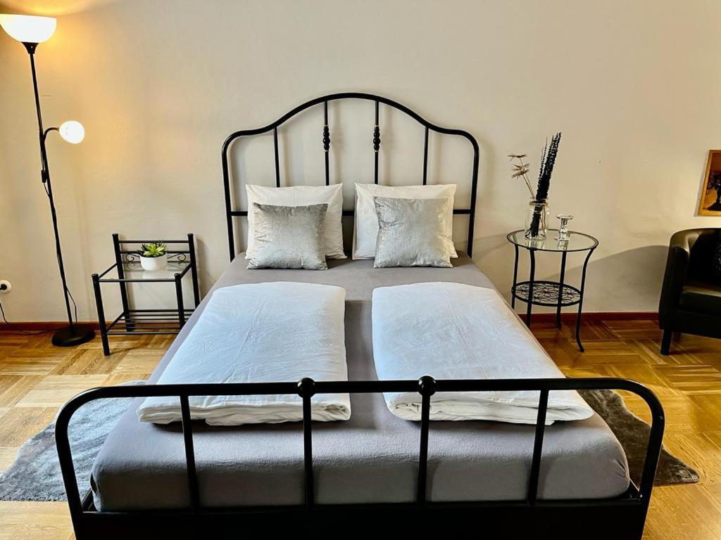 Beautiful City Centre Apartment فيينا المظهر الخارجي الصورة